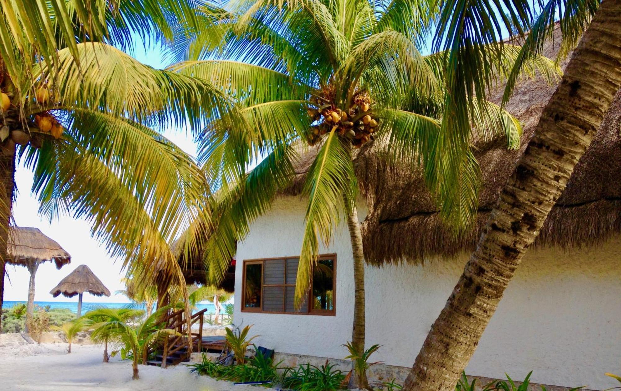 Palapas Del Sol Hotell Holbox  Rom bilde