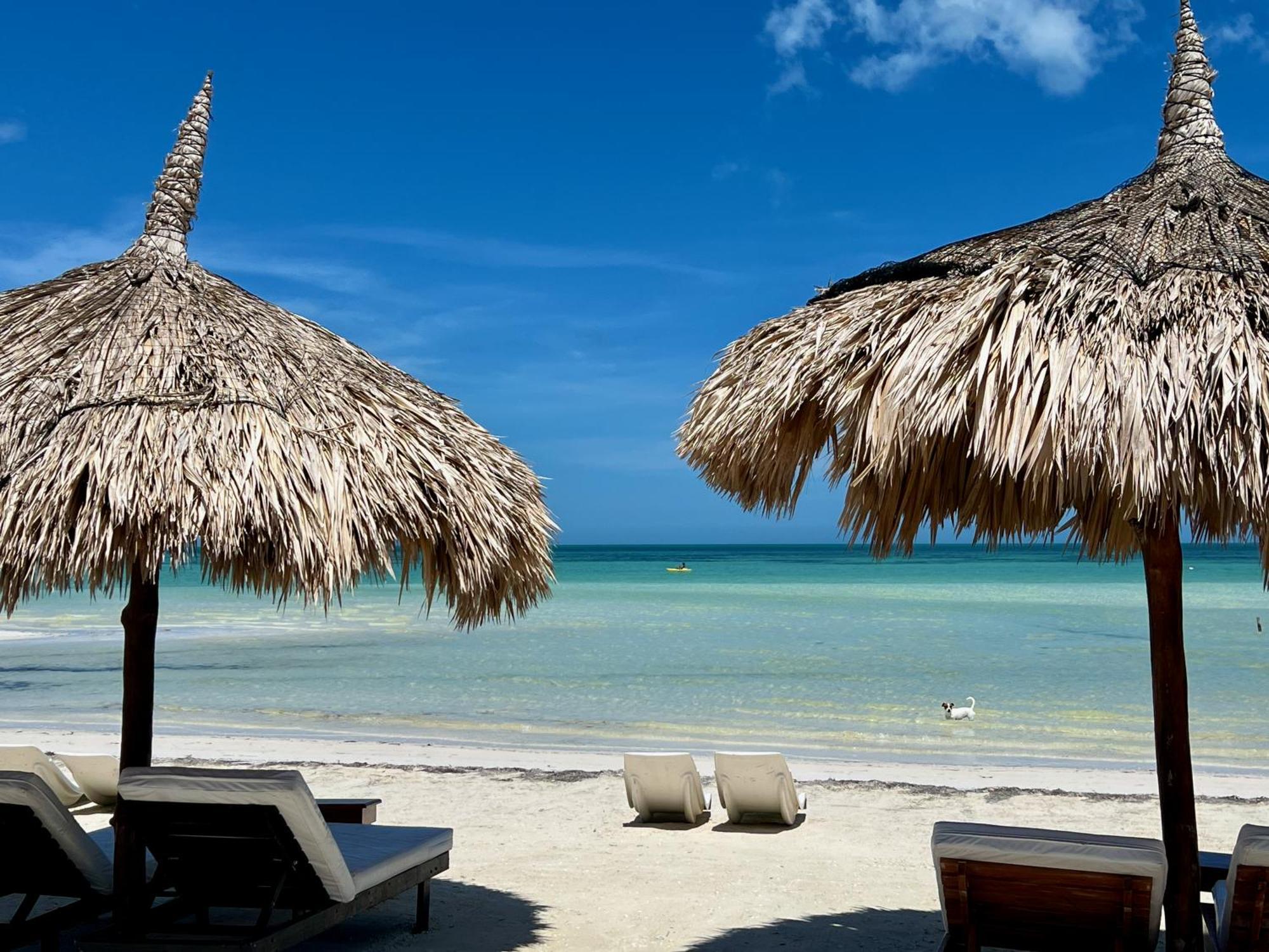 Palapas Del Sol Hotell Holbox  Eksteriør bilde