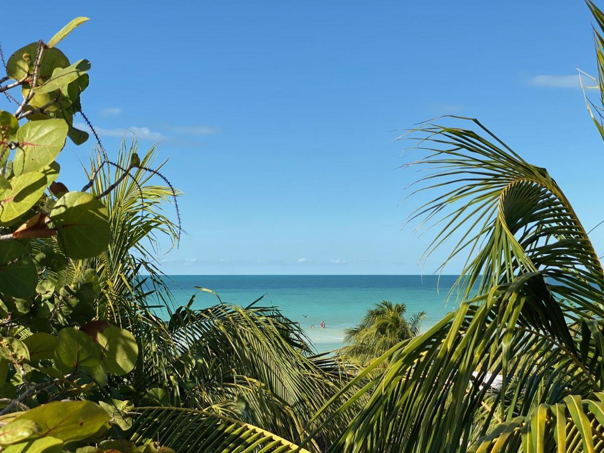 Palapas Del Sol Hotell Holbox  Eksteriør bilde